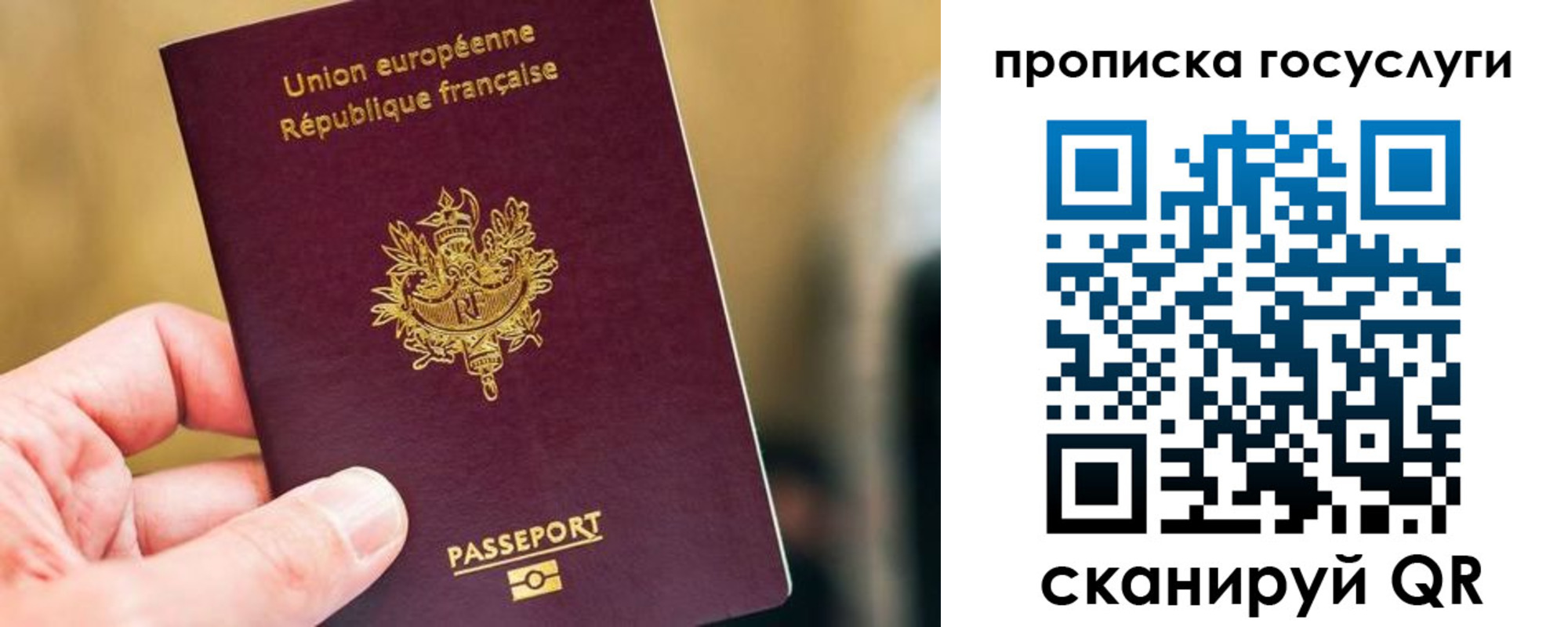 временная регистрация поиск в Плавске